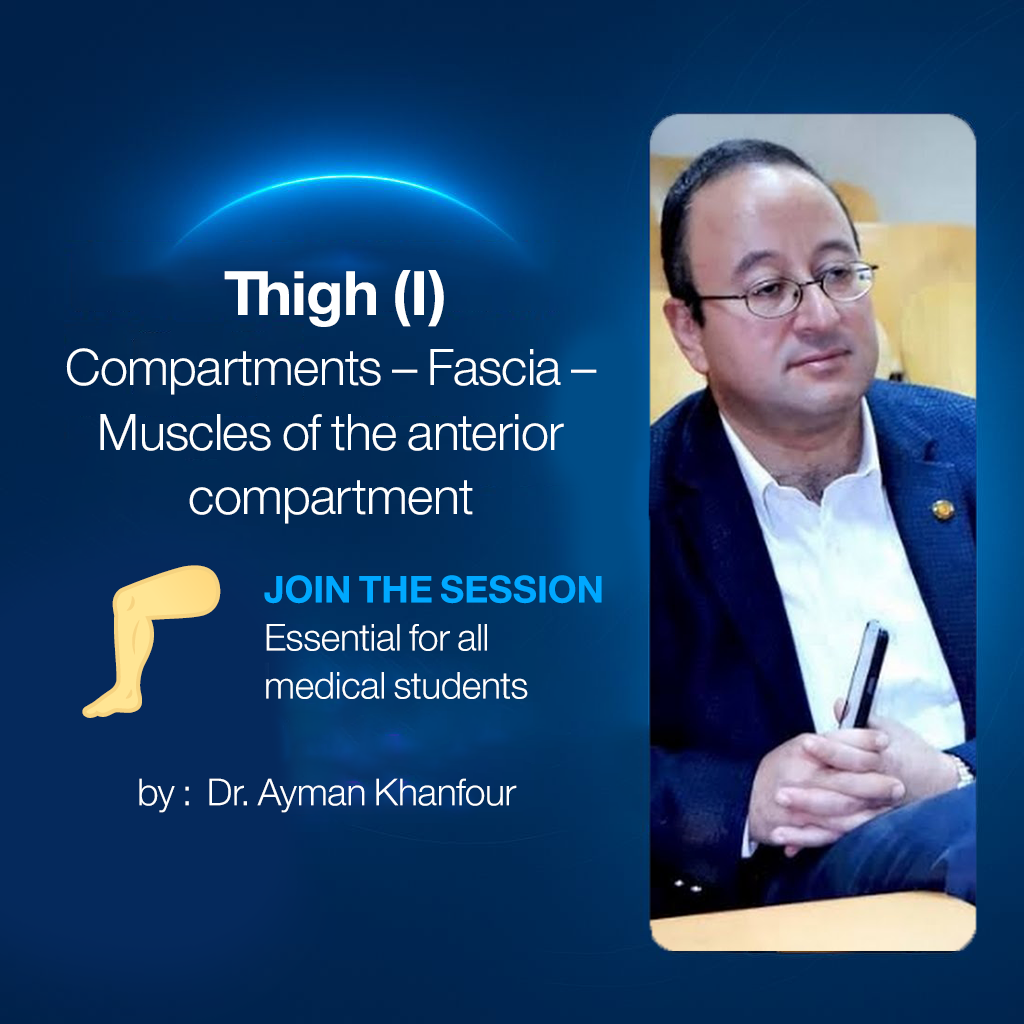 Thigh (I) (Compartments – Fascia – Muscles of the anterior compartment)