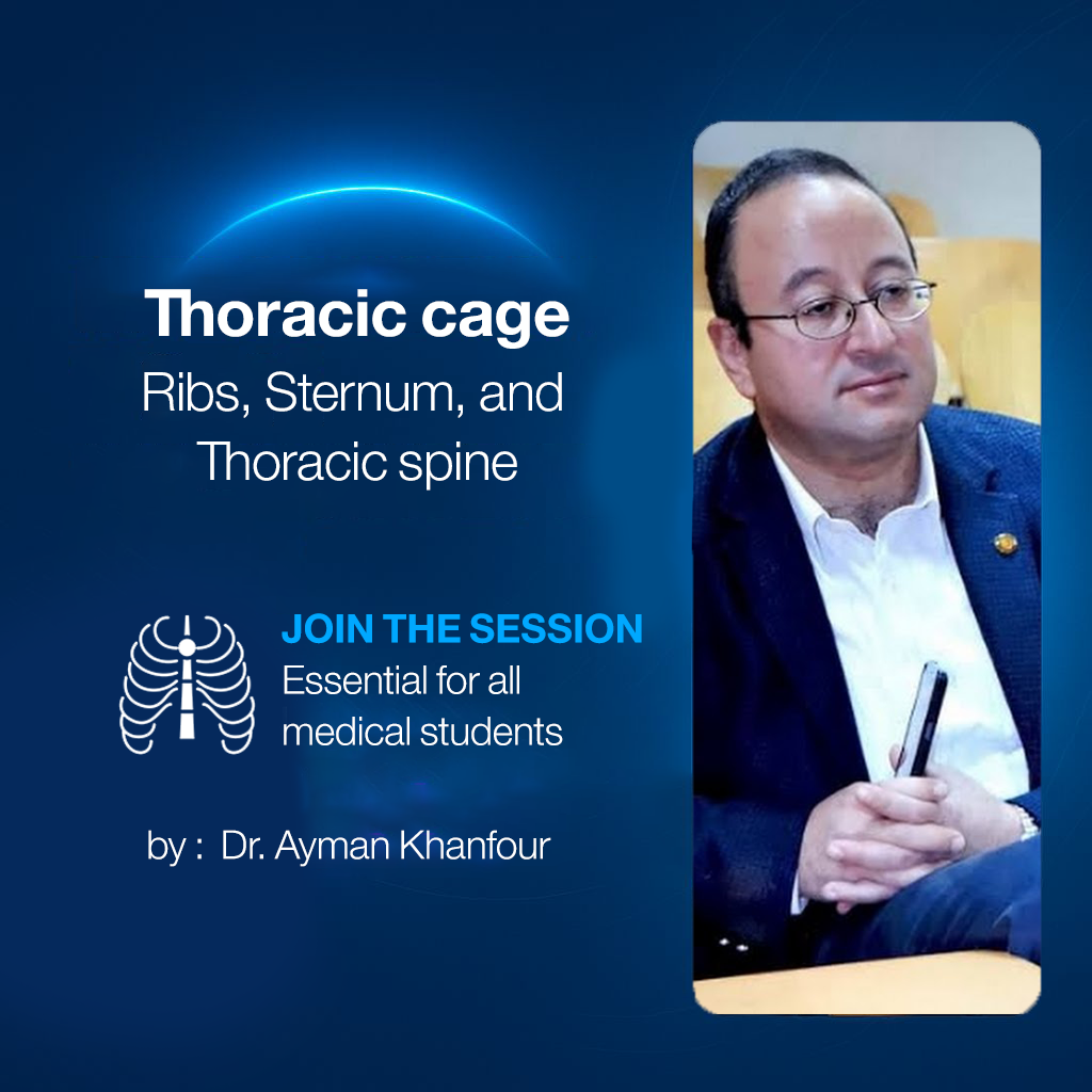 𝐓𝐡𝐨𝐫𝐚𝐜𝐢𝐜 𝐜𝐚𝐠𝐞 (𝐫𝐢𝐛𝐬, 𝐬𝐭𝐞𝐫𝐧𝐮𝐦, 𝐚𝐧𝐝 𝐭𝐡𝐨𝐫𝐚𝐜𝐢𝐜 𝐬𝐩𝐢𝐧𝐞)