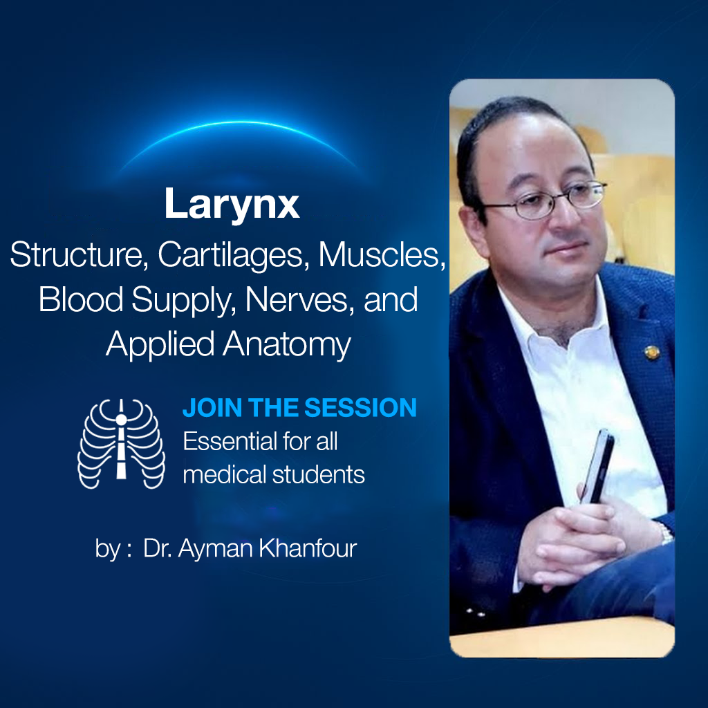 Larynx (Structure, Cartilages, Muscles, Blood Supply, Nerves, and Applied Anatomy)