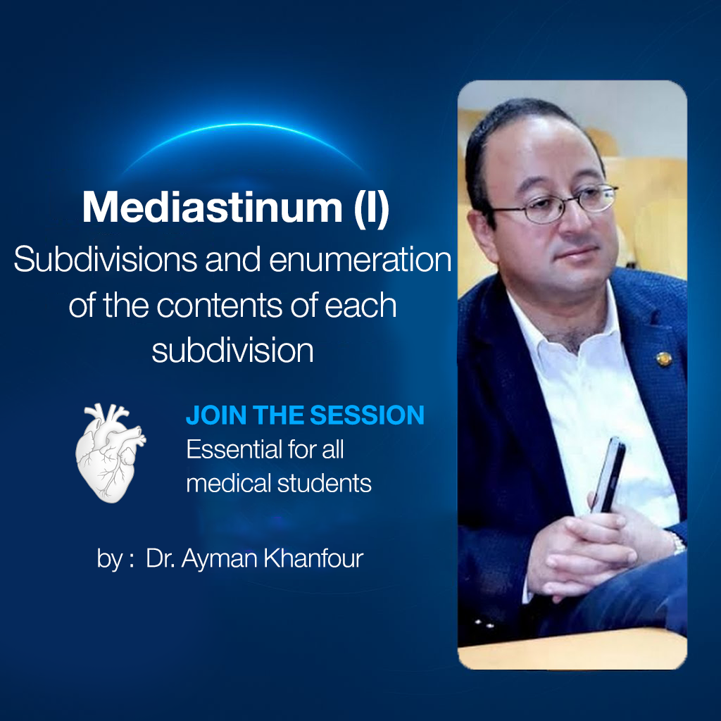 Mediastinum (I) (Subdivisions and enumeration of the contents of each subdivision)
