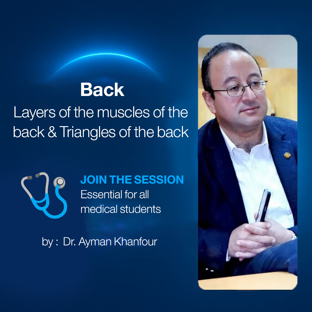 𝐁𝐚𝐜𝐤 (𝐋𝐚𝐲𝐞𝐫𝐬 𝐨𝐟 𝐭𝐡𝐞 𝐦𝐮𝐬𝐜𝐥𝐞𝐬 𝐨𝐟 𝐭𝐡𝐞 𝐛𝐚𝐜𝐤 & 𝗧𝗿𝗶𝗮𝗻𝗴𝗹𝗲𝘀 𝗼𝗳 𝘁𝗵𝗲 𝗯𝗮𝗰𝗸)