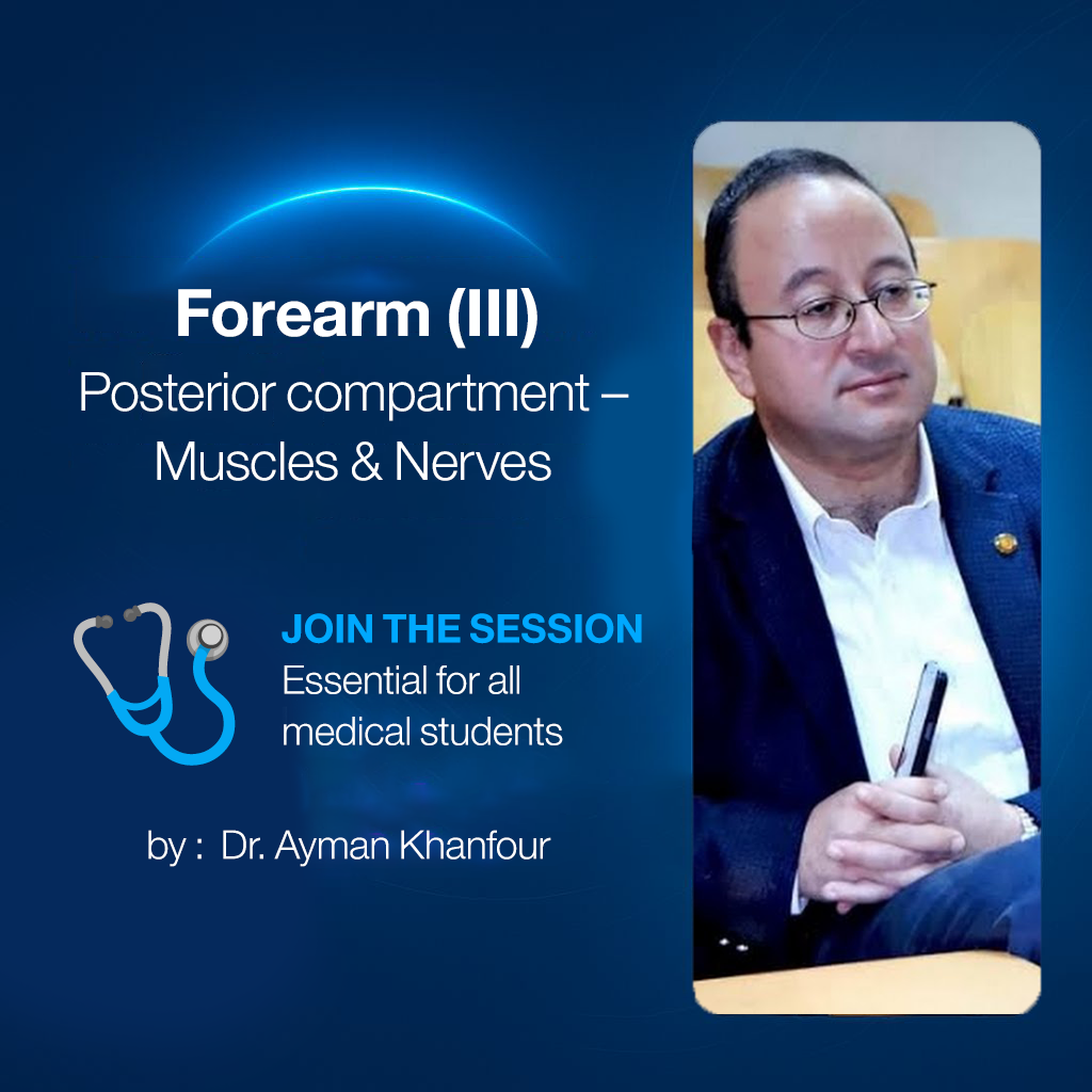 𝐅𝐨𝐫𝐞𝐚𝐫𝐦 (𝐈𝐈𝐈) (𝐏𝐨𝐬𝐭𝐞𝐫𝐢𝐨𝐫 𝐜𝐨𝐦𝐩𝐚𝐫𝐭𝐦𝐞𝐧𝐭 - 𝐌𝐮𝐬𝐜𝐥𝐞𝐬 & 𝐍𝐞𝐫𝐯𝐞𝐬)