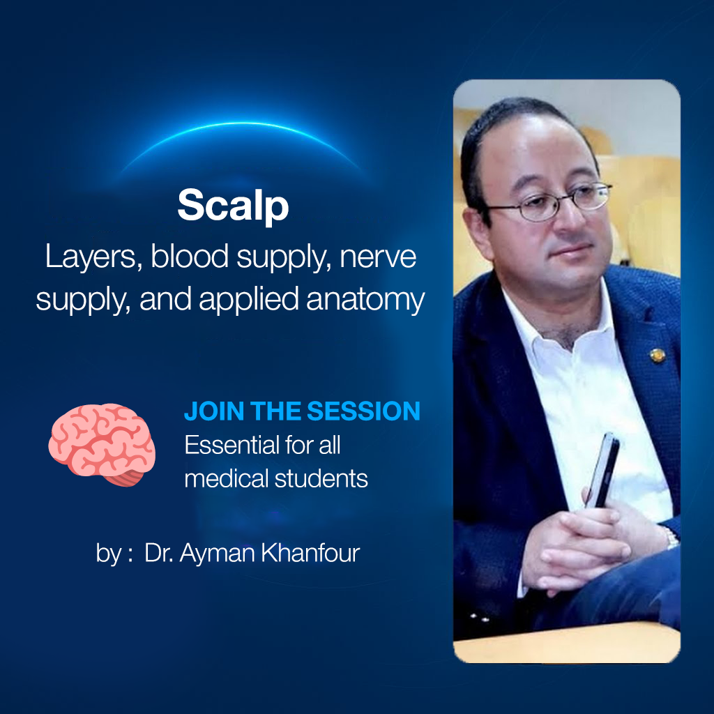 𝐒𝐜𝐚𝐥𝐩 (𝐋𝐚𝐲𝐞𝐫𝐬, 𝐛𝐥𝐨𝐨𝐝 𝐬𝐮𝐩𝐩𝐥𝐲, 𝐧𝐞𝐫𝐯𝐞 𝐬𝐮𝐩𝐩𝐥𝐲, 𝐚𝐧𝐝 𝐚𝐩𝐩𝐥𝐢𝐞𝐝 𝐚𝐧𝐚𝐭𝐨𝐦𝐲)