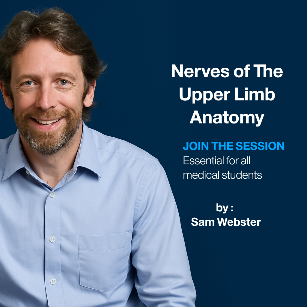 Nerves of The Upper Limb Anatomy