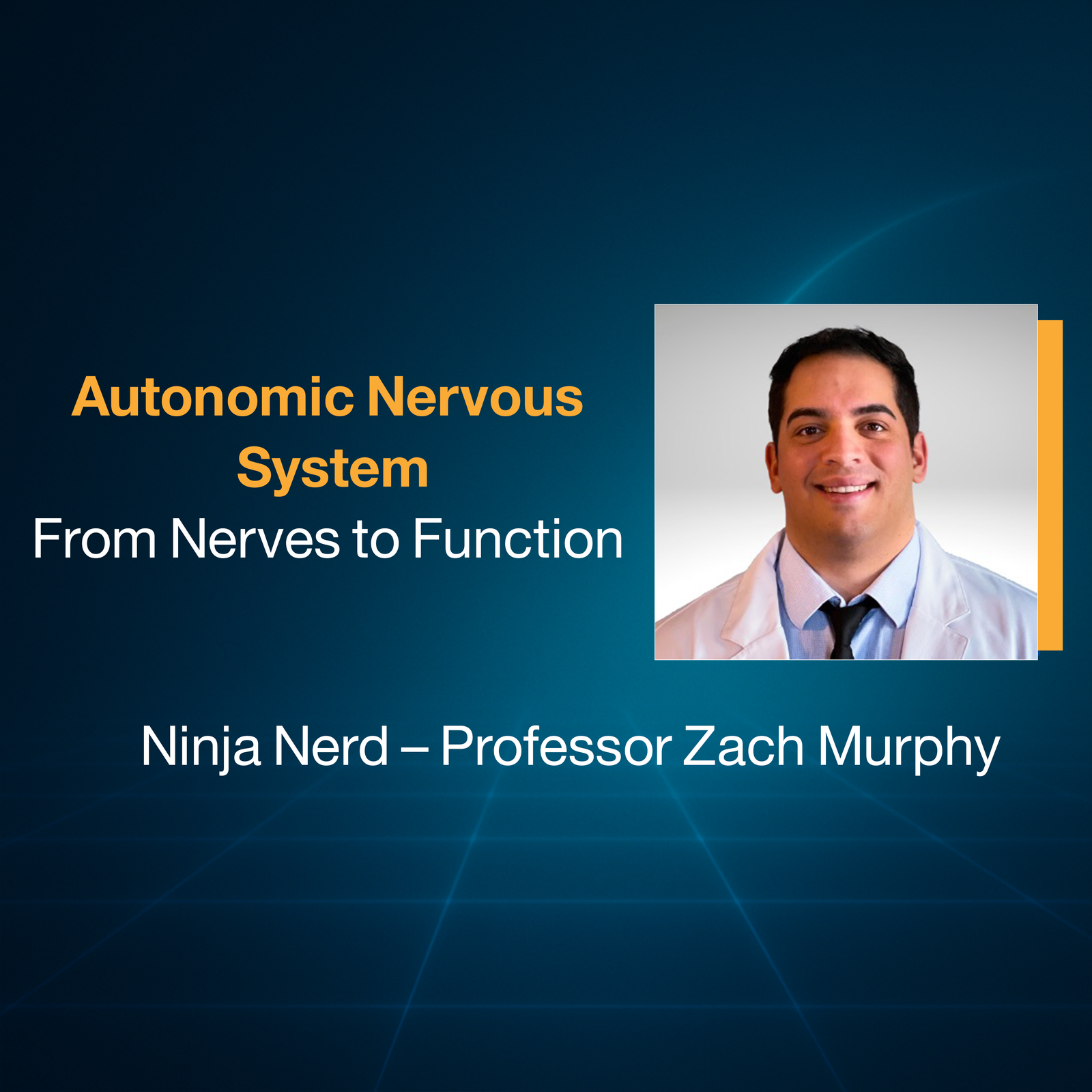 Autonomic Nervous System (From Nerves to Function)