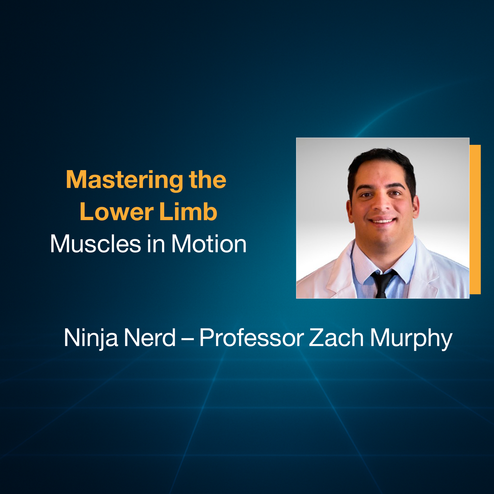 Mastering the Lower Limb Muscles in Motion