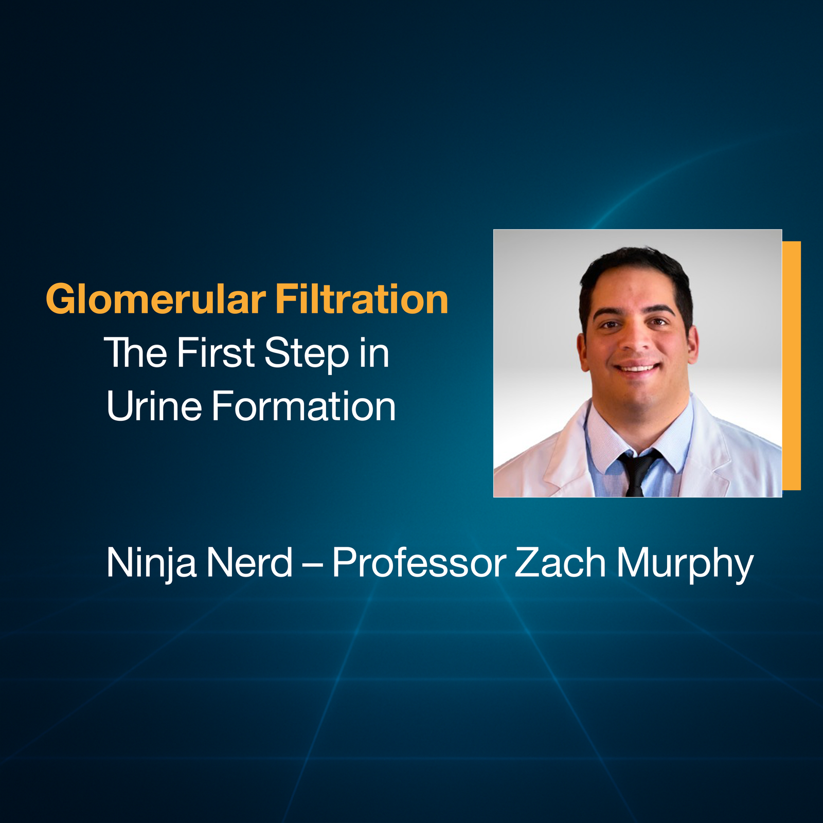Glomerular Filtration: The First Step in Urine Formation