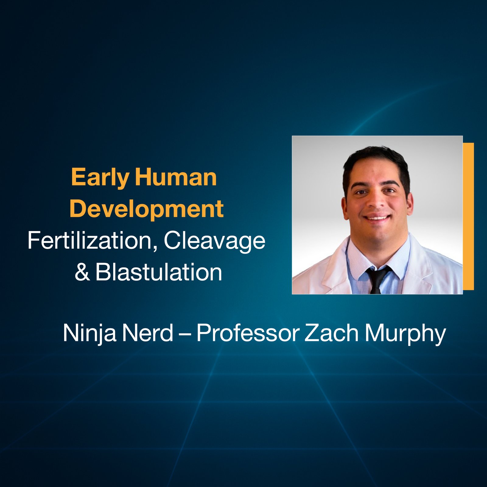 Early Human Development: Fertilization, Cleavage & Blastulation