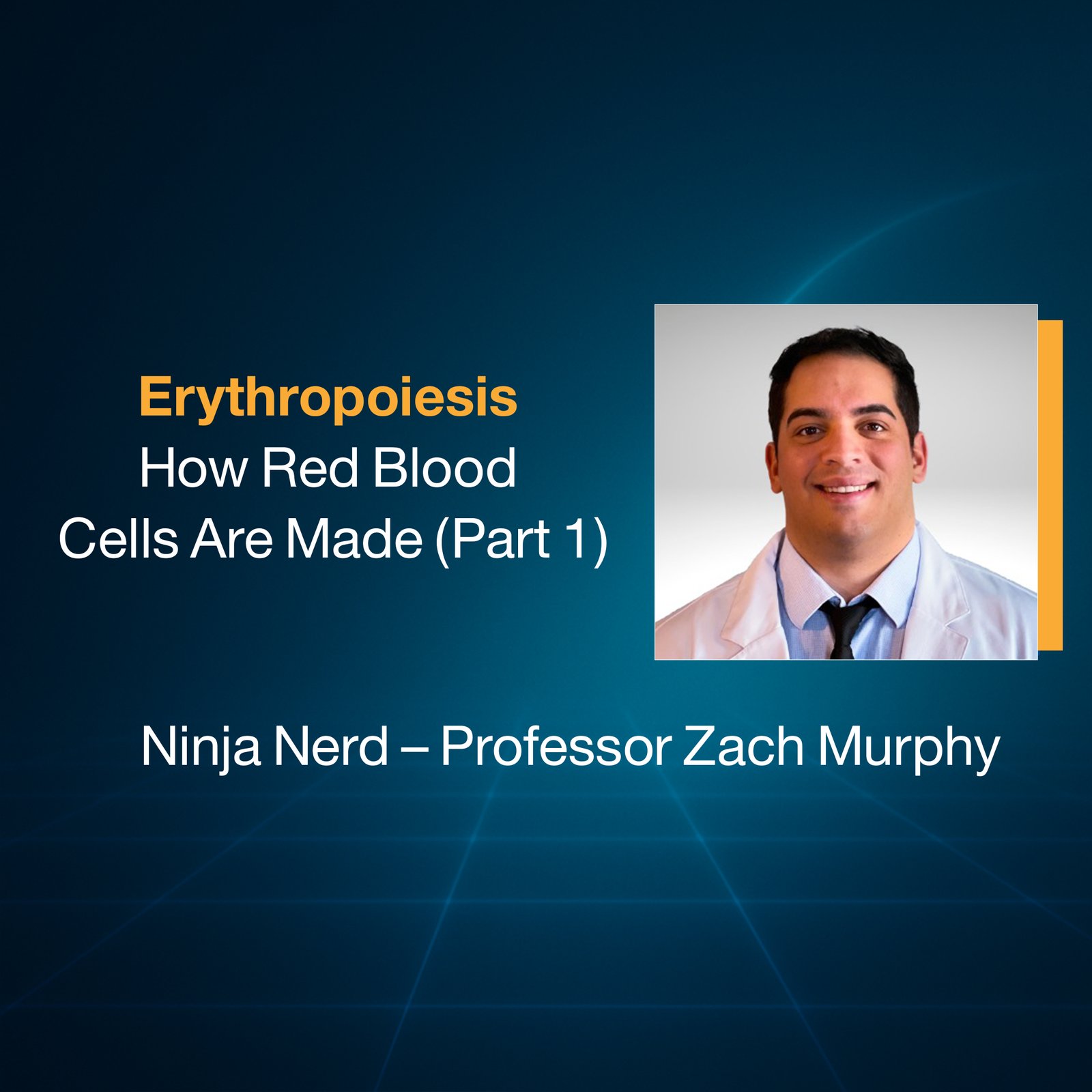 Erythropoiesis: How Red Blood Cells Are Made ( Part 1)