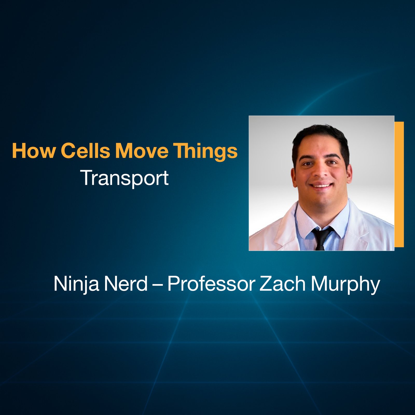 How Cells Move Things: Transport