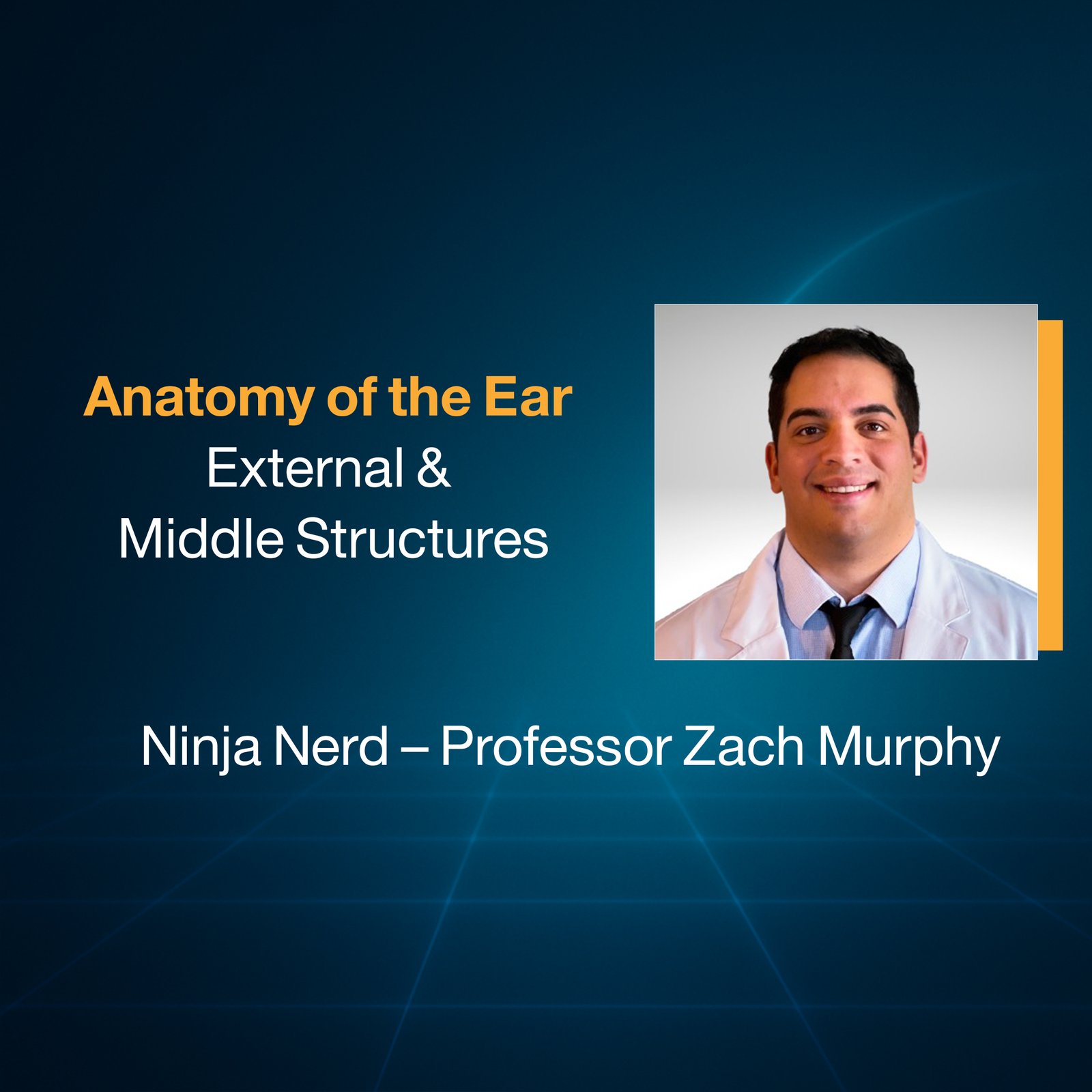Anatomy of the Ear: External & Middle Structures