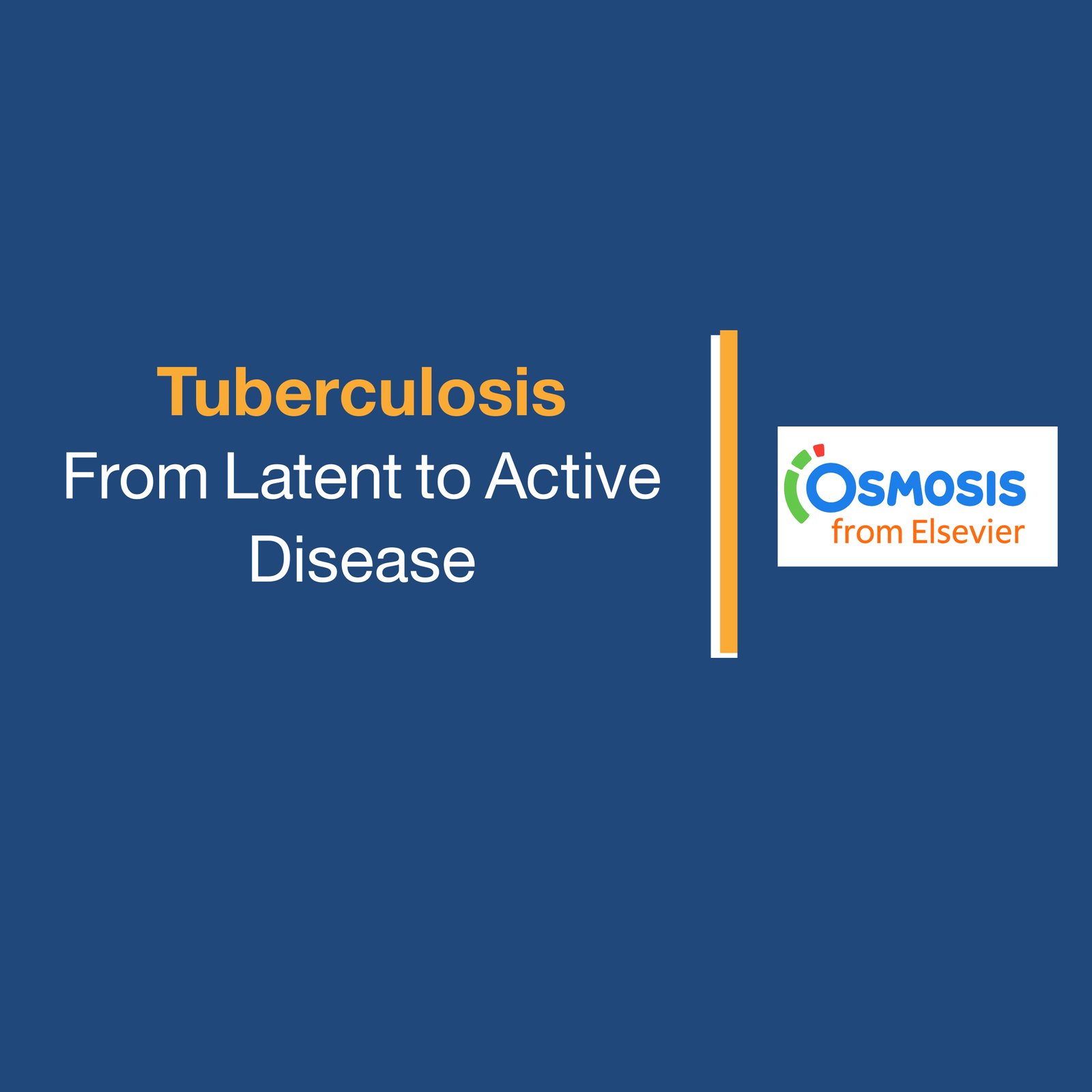 Tuberculosis: From Latent to Active Disease