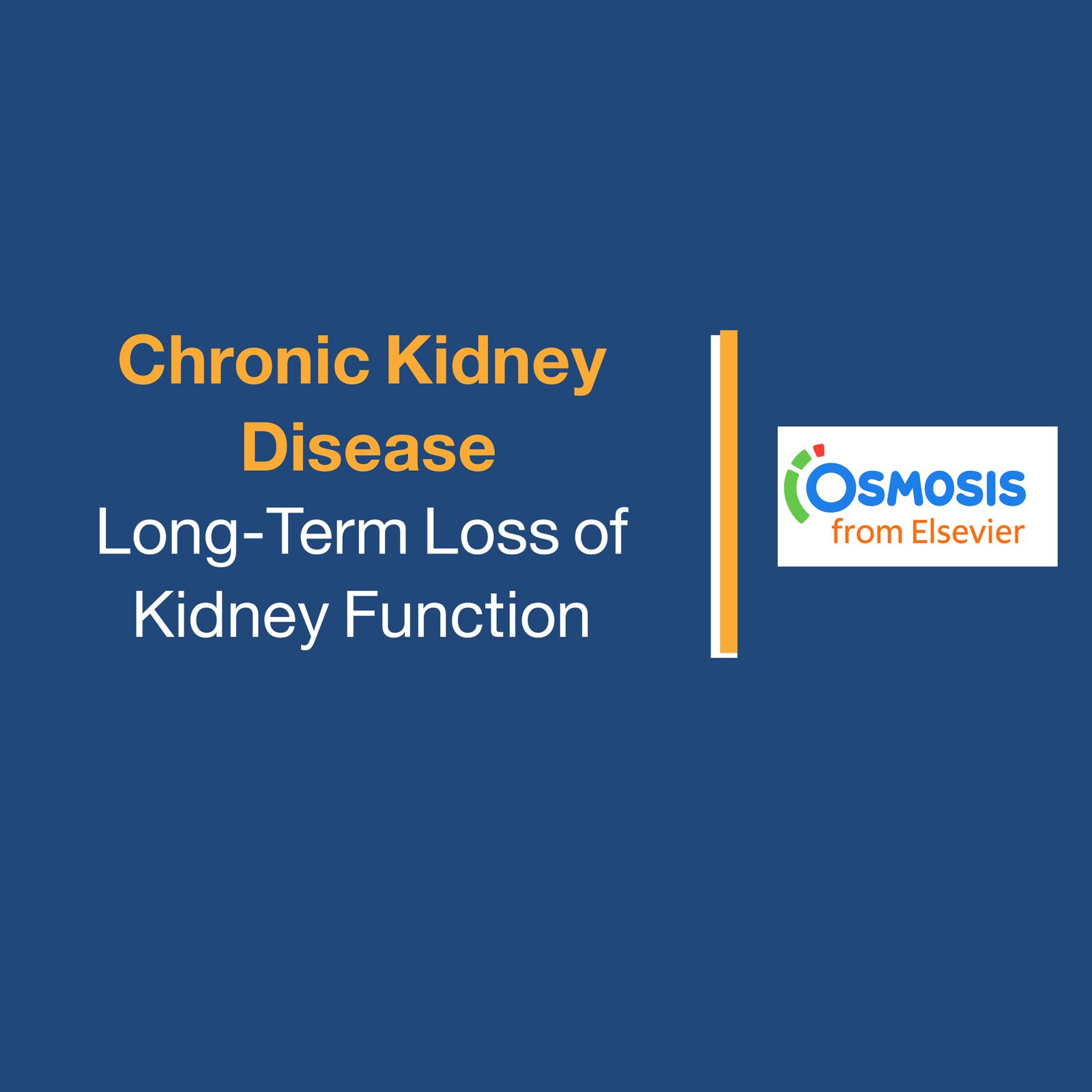 Chronic Kidney: Disease Long-Term Loss of Kidney Function