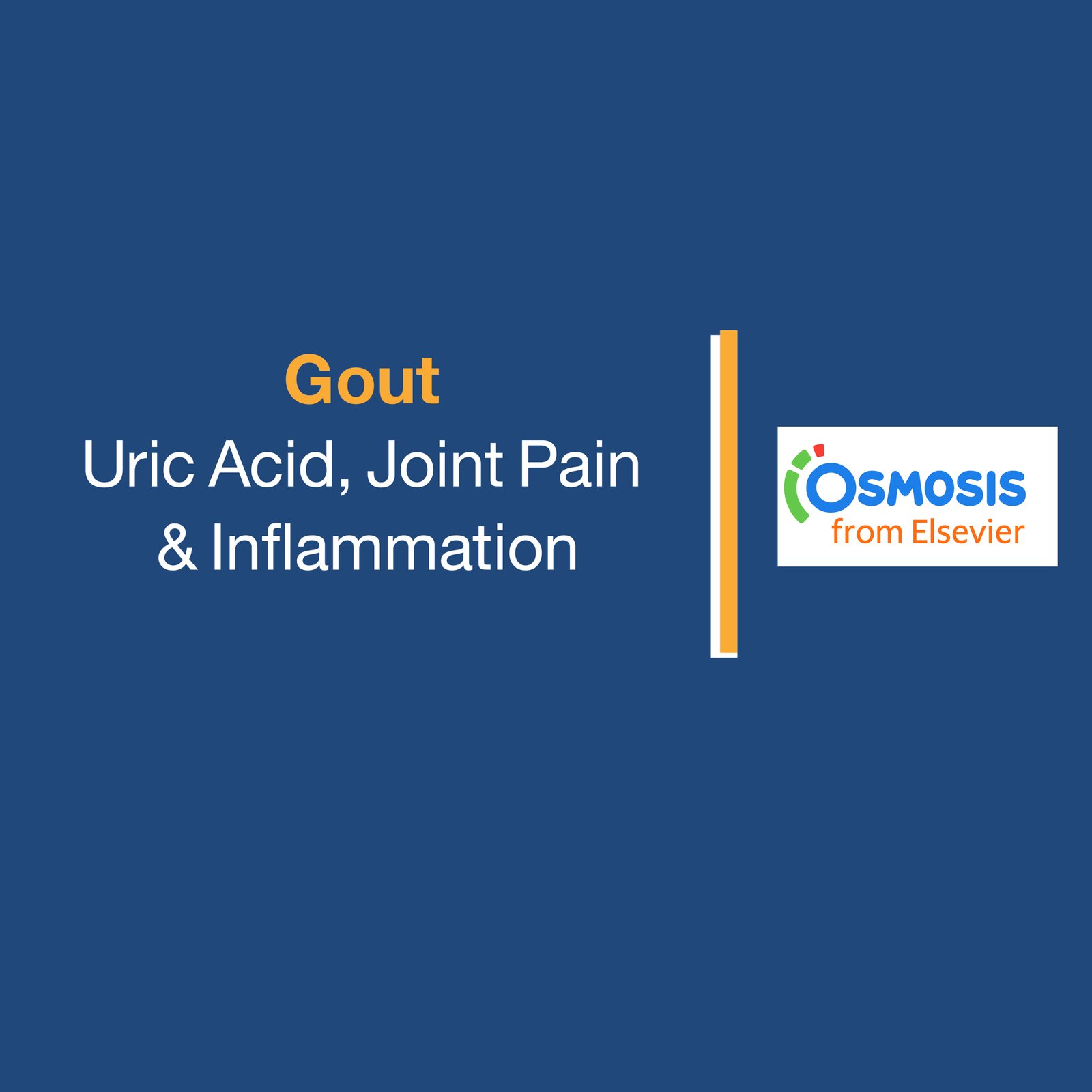 Gout: Uric Acid, Joint Pain & Inflammation