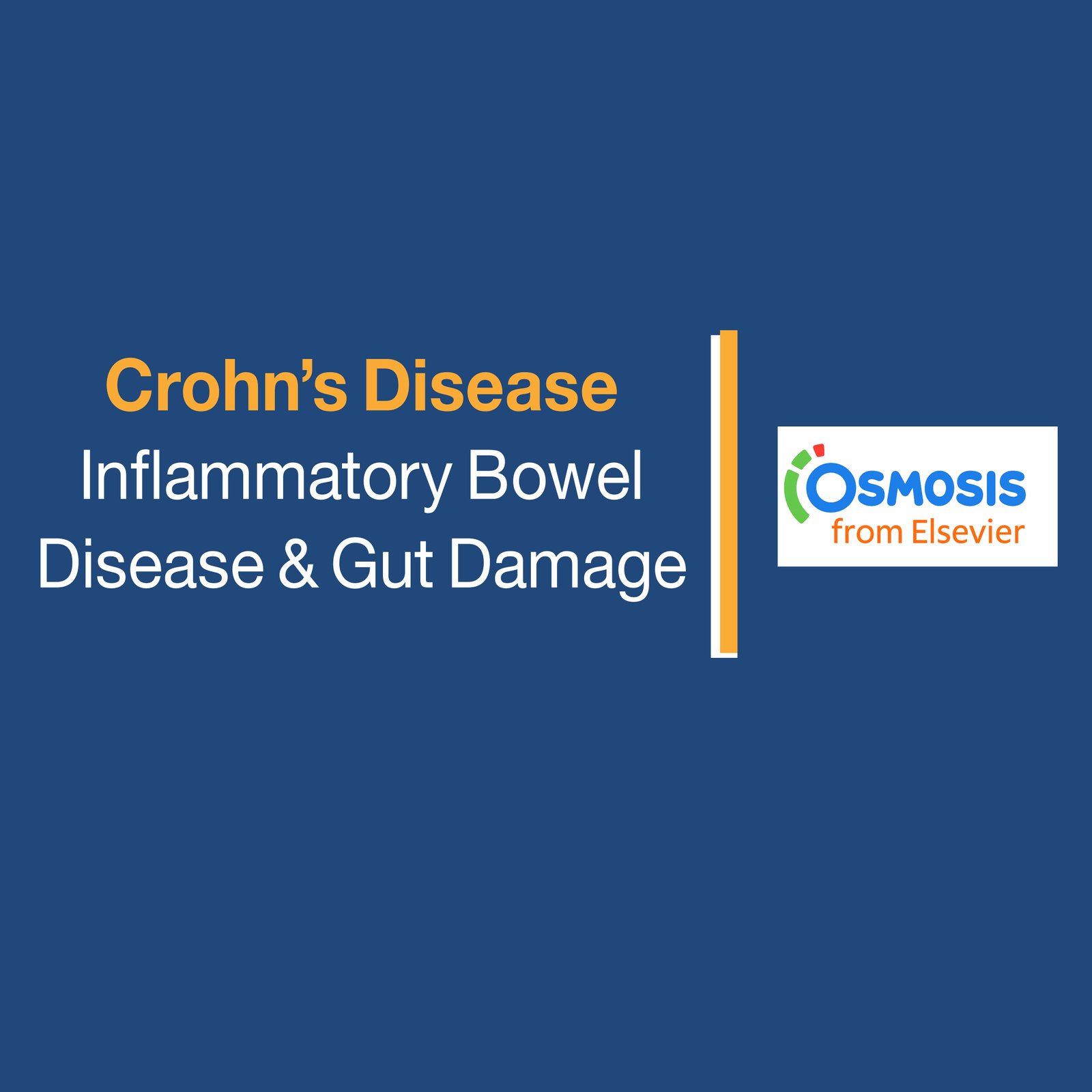 Crohn’s Disease: Inflammatory Bowel Disease & Gut Damage