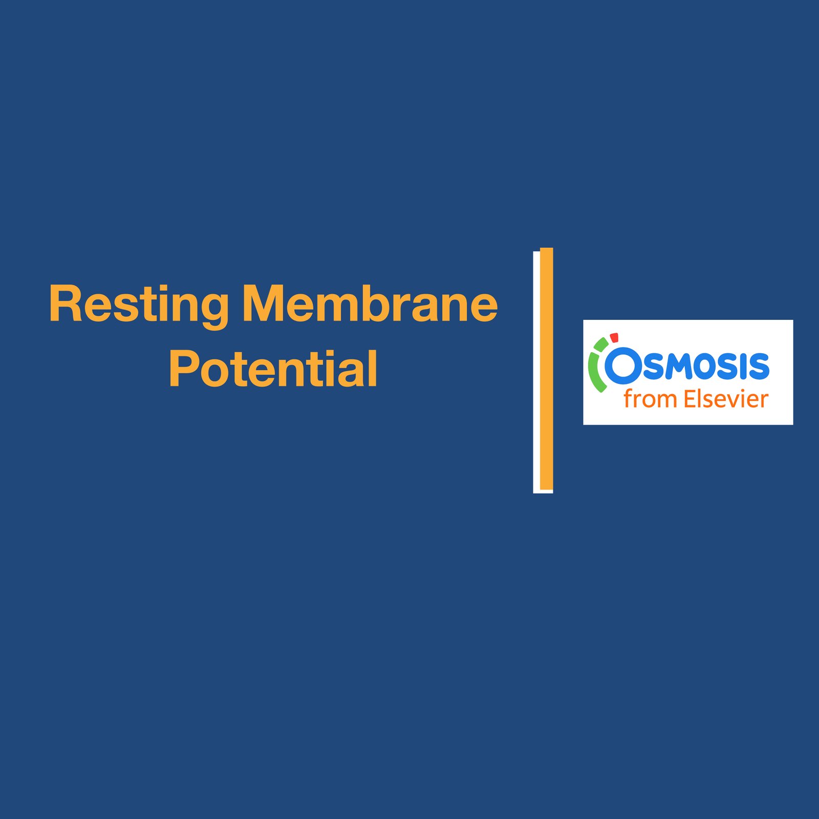 Resting Membrane Potential