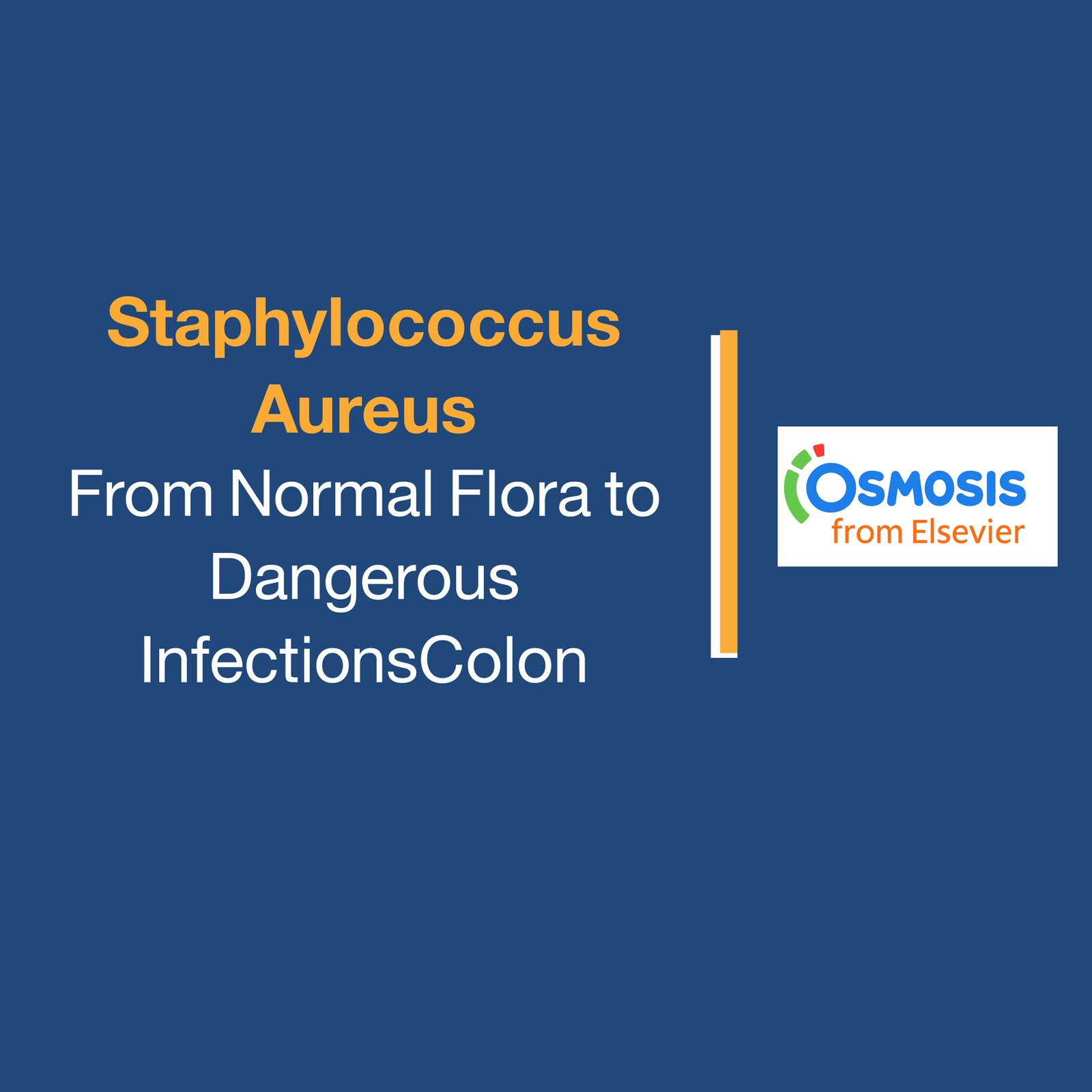 Staphylococcus Aureus: From Normal Flora to Dangerous  InfectionsColon