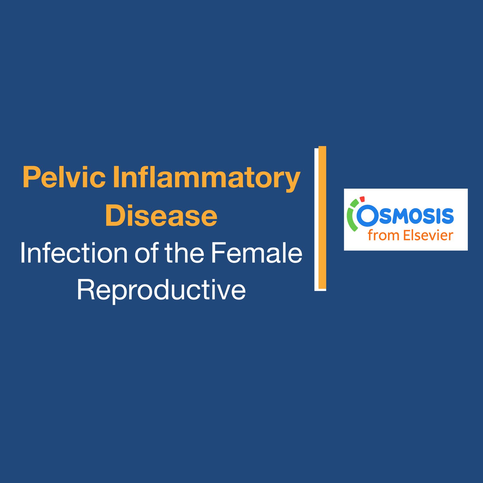 Pelvic Inflammatory Disease: Infection of the Female Reproductive