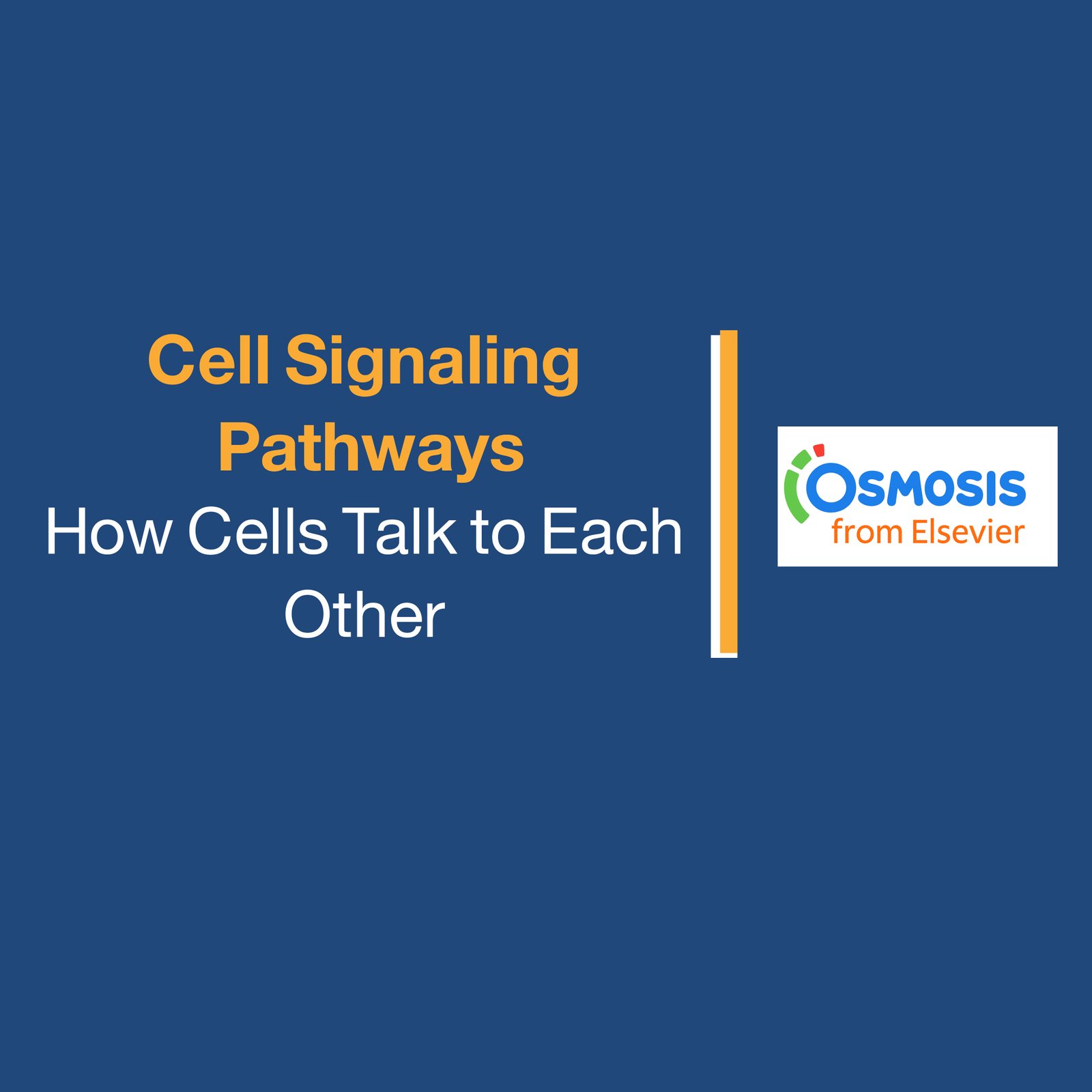 Cell Signaling: Pathways How Cells Talk to Each Other
