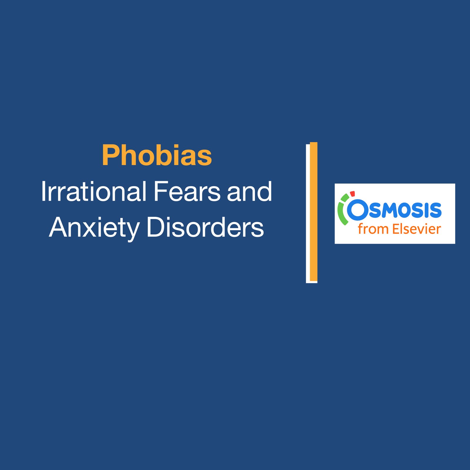 Phobias: Irrational Fears and Anxiety Disorders