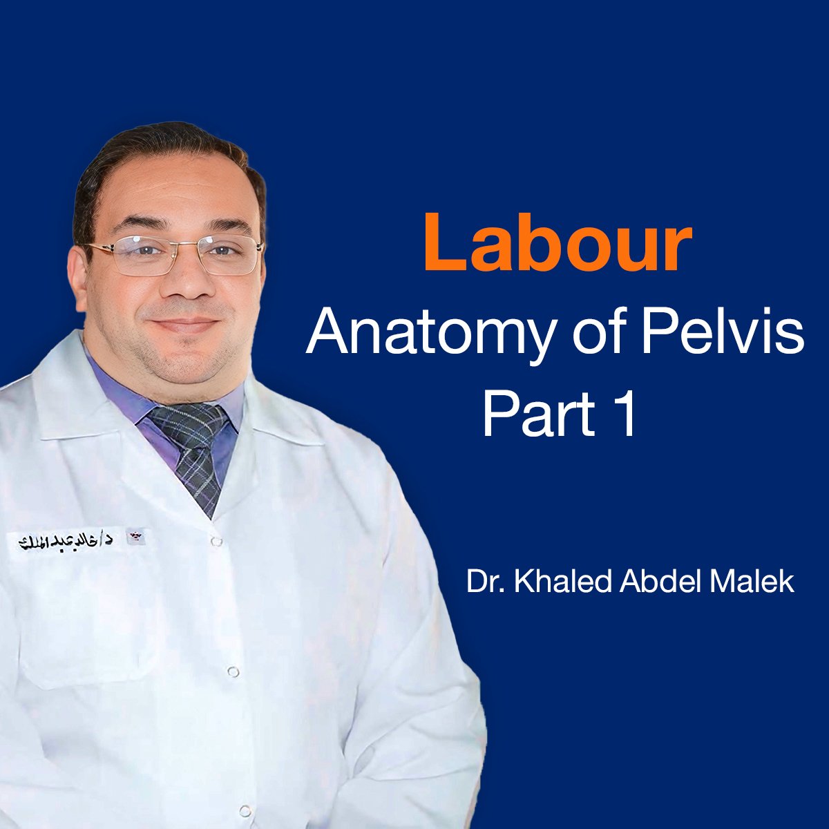 Labour: Anatomy of Pelvis (Part 1) (Lecture 1)