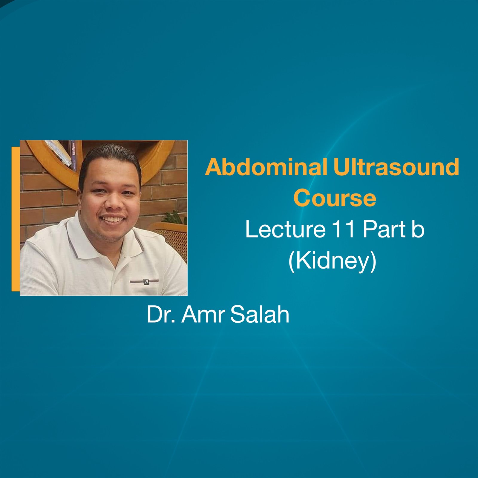 Abdominal Ultrasound Course (Lecture 11 Part b) (Kidney)