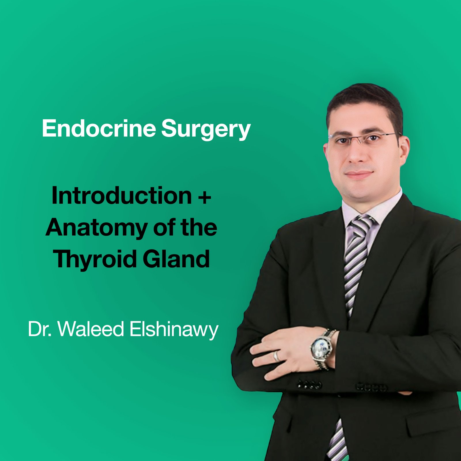 Introduction + Anatomy of the Thyroid Gland