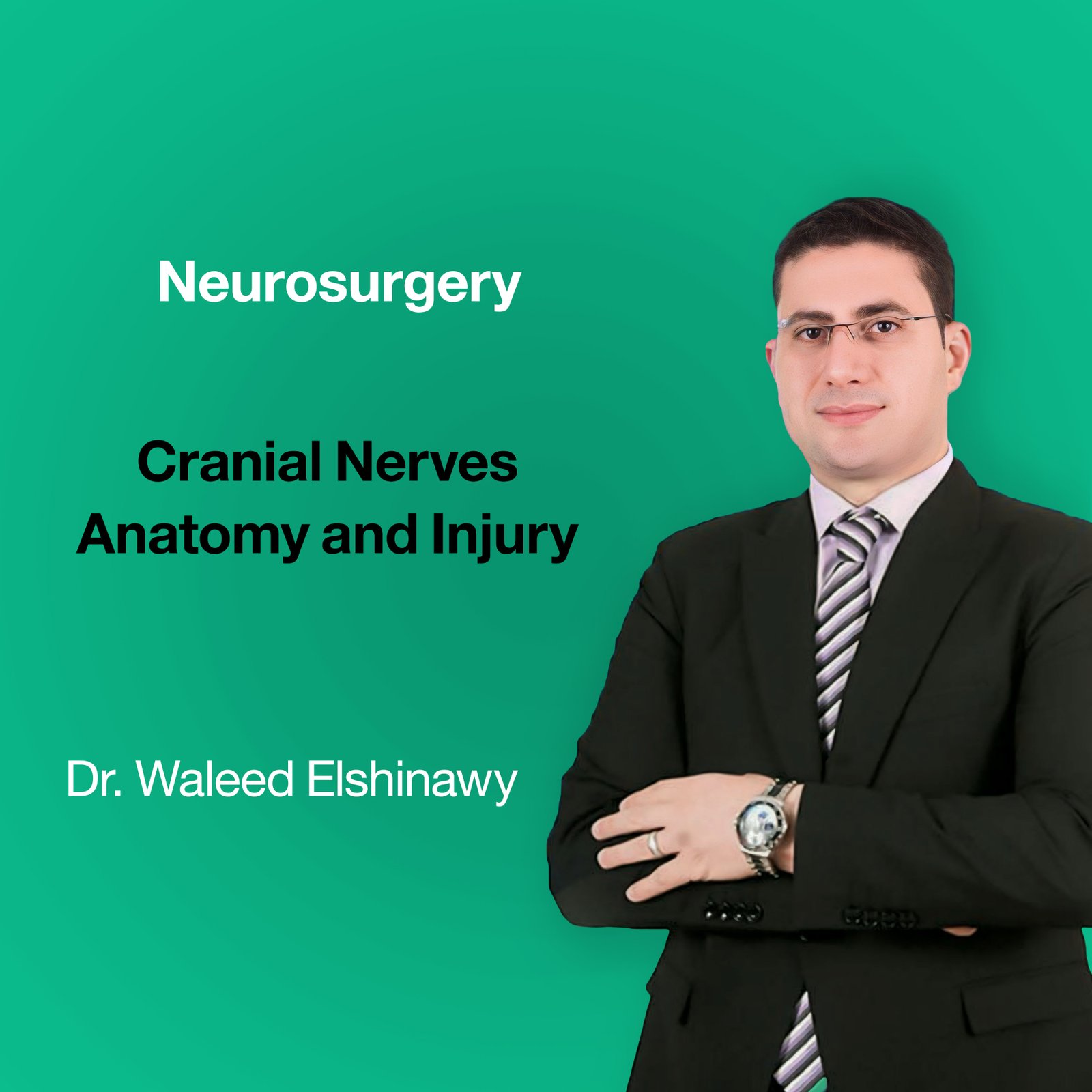 Cranial Nerves Anatomy and Injury